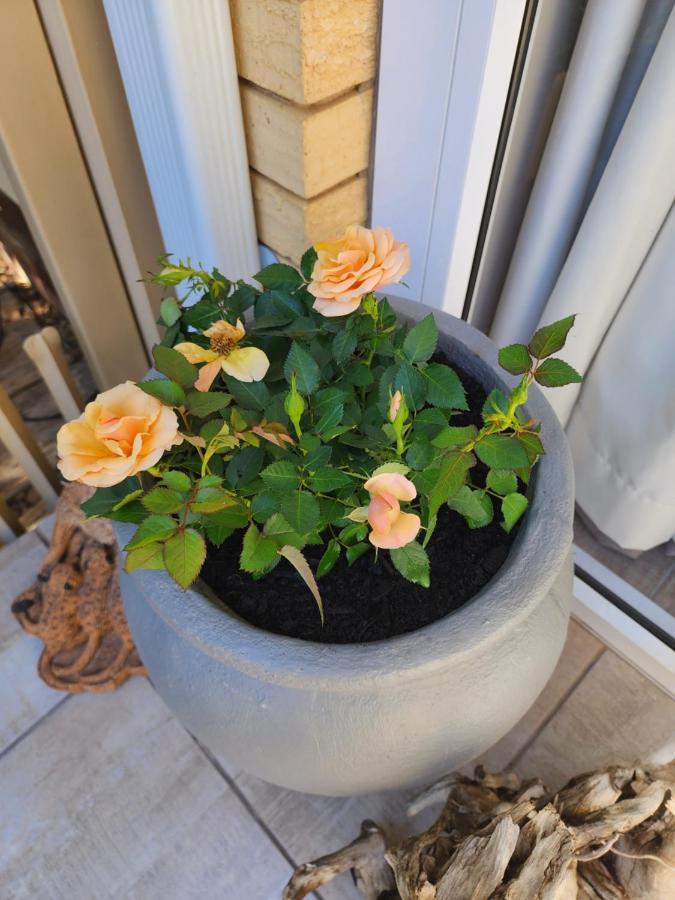 Schnehage Self Catering Lägenhet Bloemfontein Exteriör bild